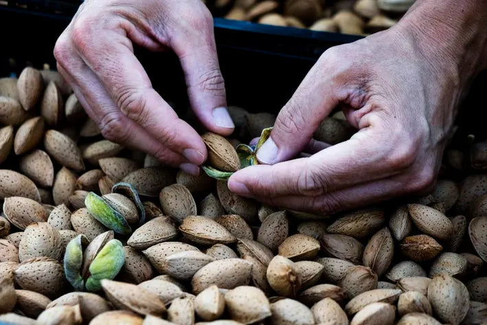 Cultivating Goodness, Sustainably