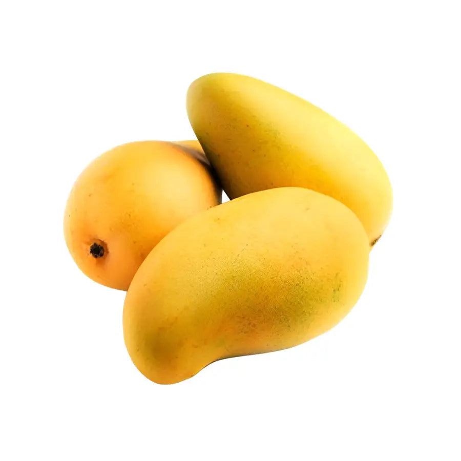 KESAR MANGO