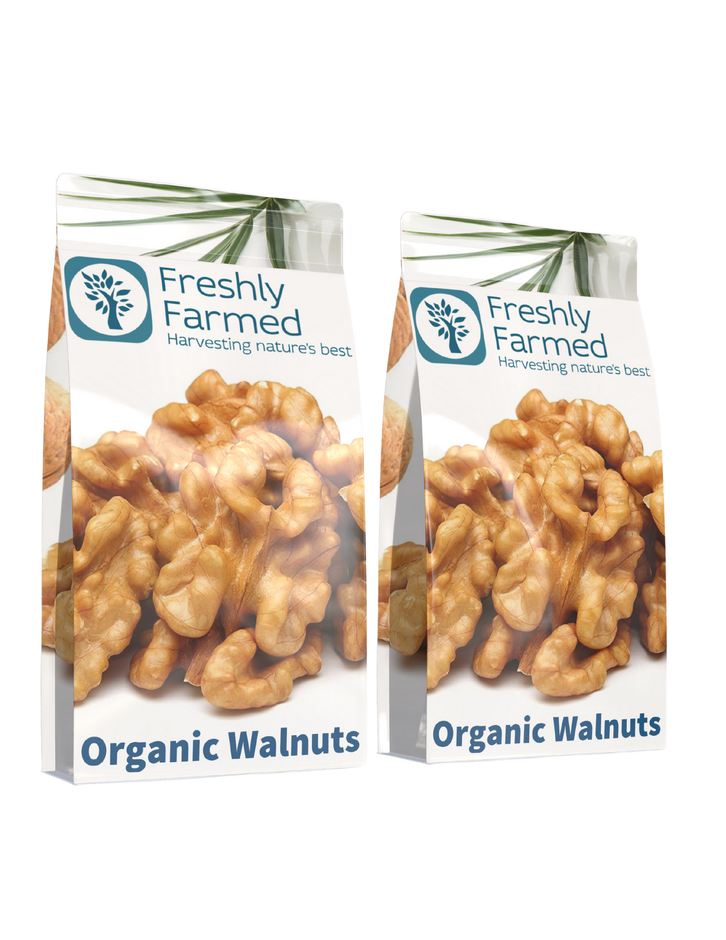Organic California Walnuts