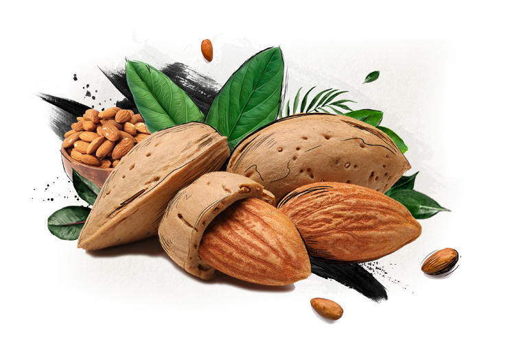 Organic California Almonds - Raw, Whole