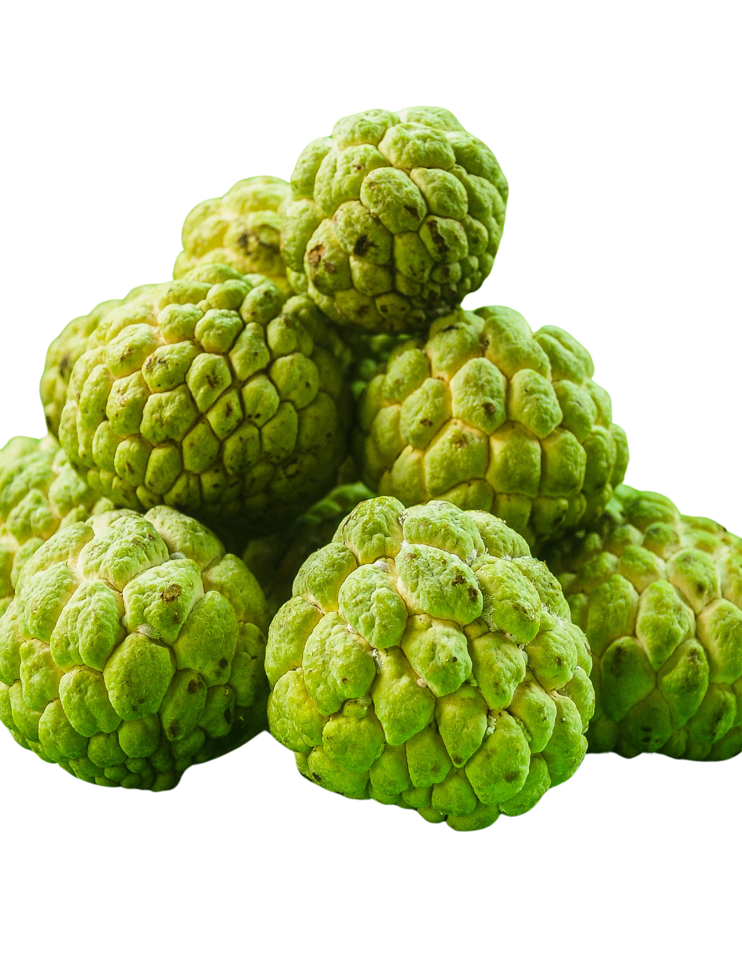 CUSTARD APPLE (SITAPHAL)