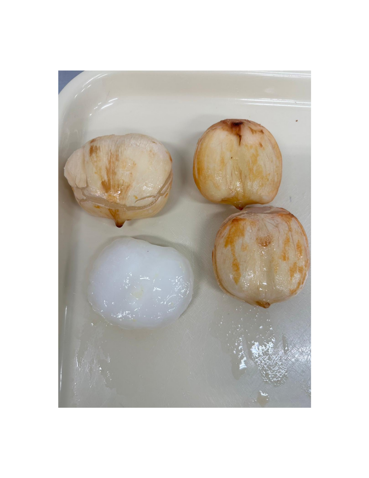 Ice Apple / ( Palmyra Palm Fruit ) / Thati Munjalu