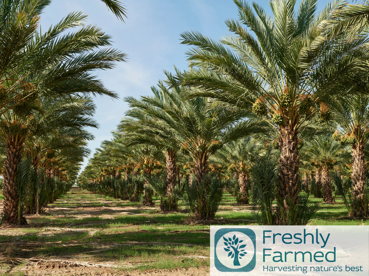Freshly Farmed