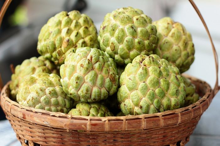 CUSTARD APPLE - SITAPHAL-SUGAR APPLE