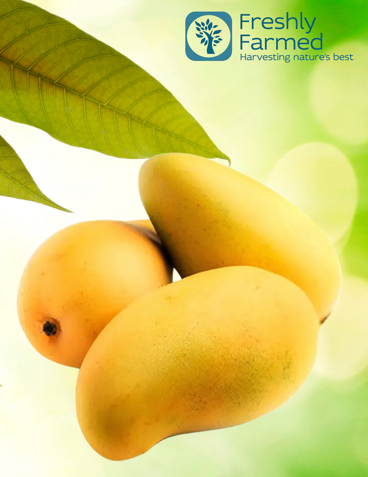 PEDDA RASALU MANGO